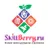 SkillBerry.ru